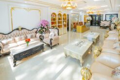 Alternative view of Sofa tân cổ điển HHTCD 102